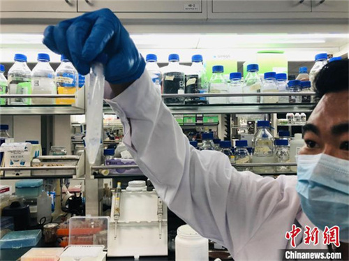厲害了我的國！西北風真能喝飽了，中國首次實現二氧化碳人工合成淀粉