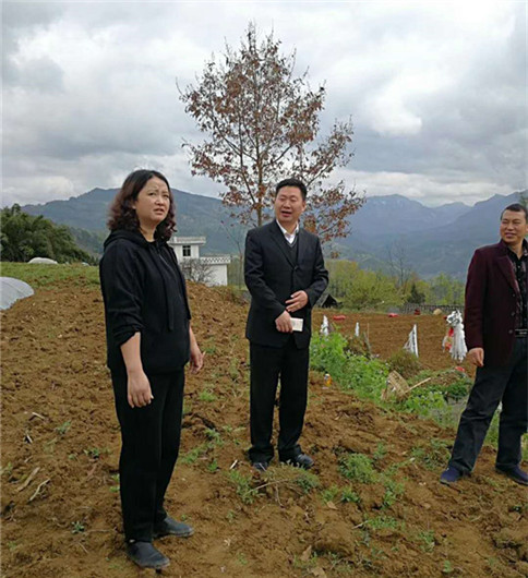 田間地頭指導(dǎo)工作12.jpg