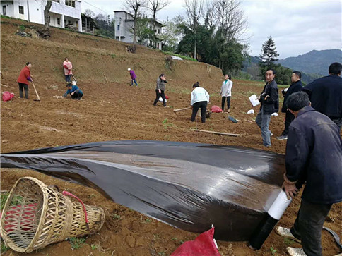 田間地頭指導(dǎo)工作2.jpg